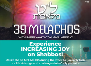 39 Melachos by Rabbi Yaakov Zalman Labinsky